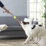 Heavy Duty Large Strong Pull Rope Tug Toy Tennis Ball Fetch Puppy Dog Pet Toys